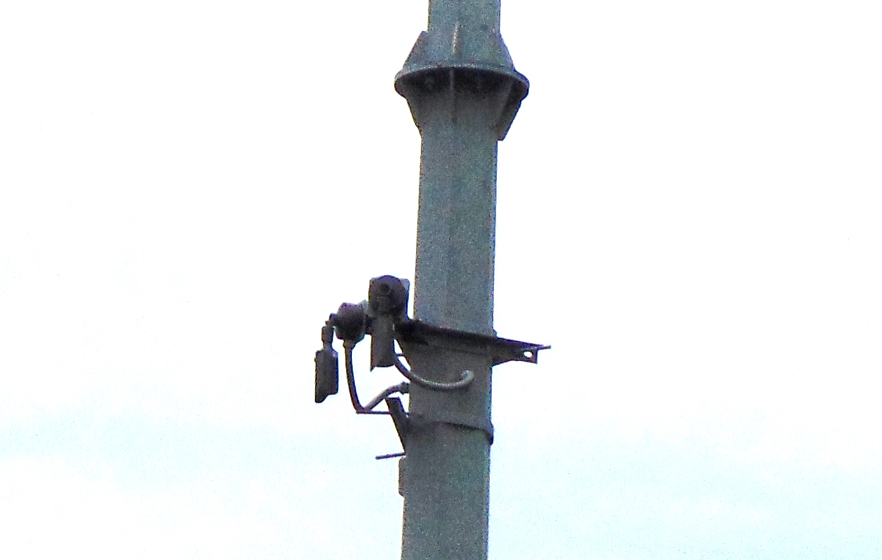Camara de seguridad 1