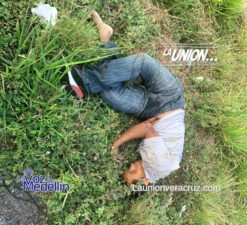 atropellado carretera paso del toro alvarado