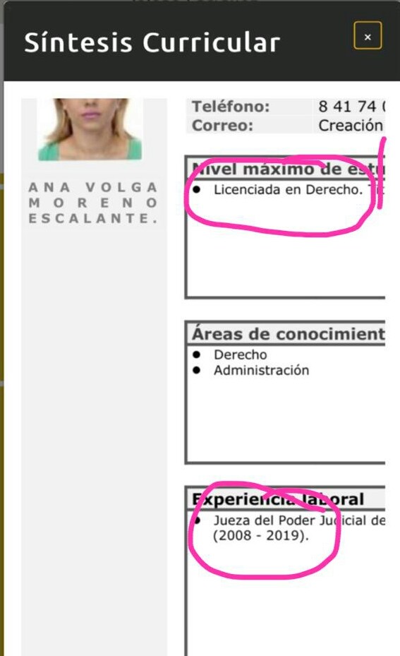 Juez nivel educativo